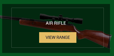 Air Rifle